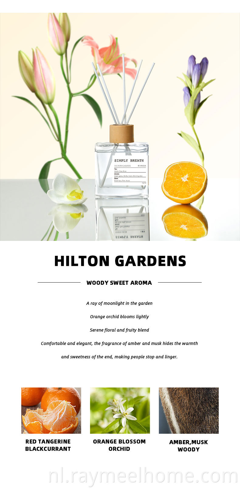 Nieuwe aankomst nieuwste ontwerpgroothandel 150 ml riet diffuser